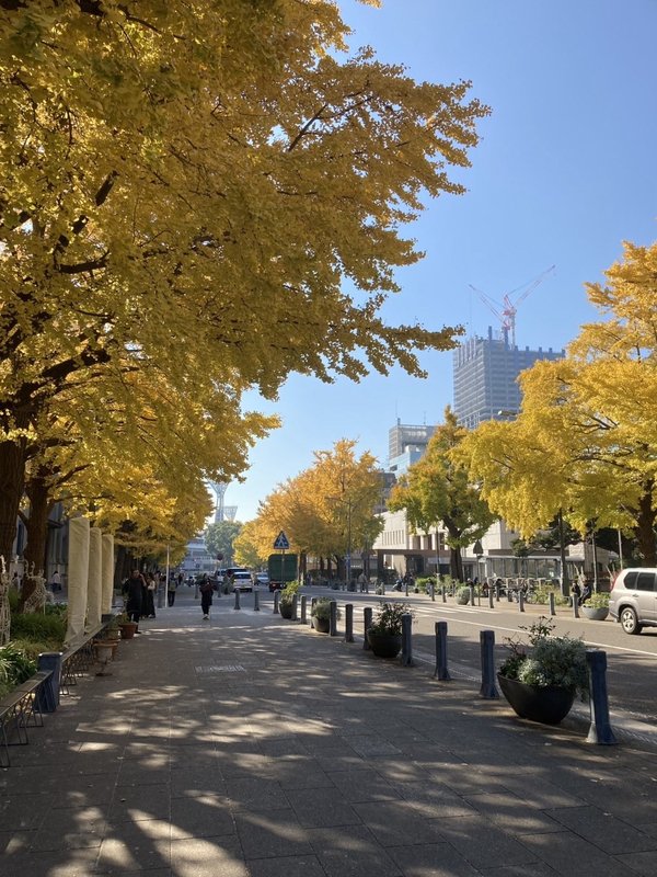 社風と働く環境